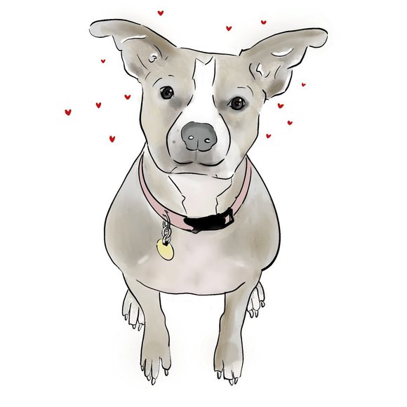 Custom Pet Portraits - Picture 5 of 7